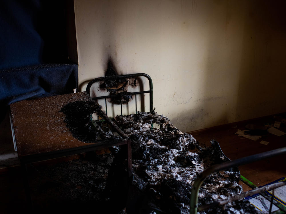 Archives of inhumanity. Six questions for Antonina Ivakhnenko